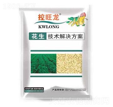 �����������һ���-������-���S�r(n��ng)�Y