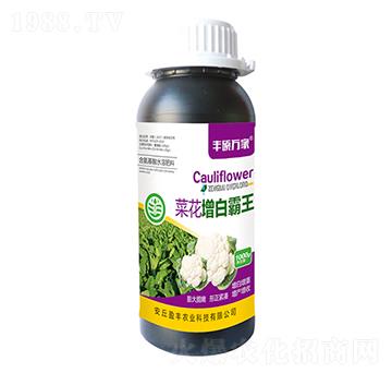 �˻����װ���-�S�T�f(w��n)��-ӯ�S�r(n��ng)�I(y��)