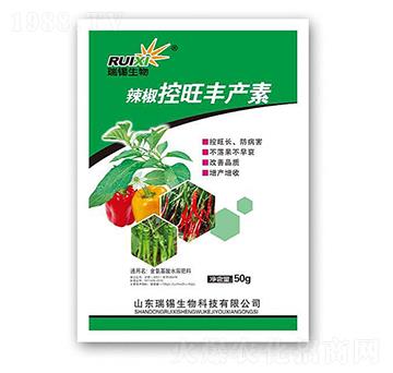 ���������S�a(ch��n)��-���a����