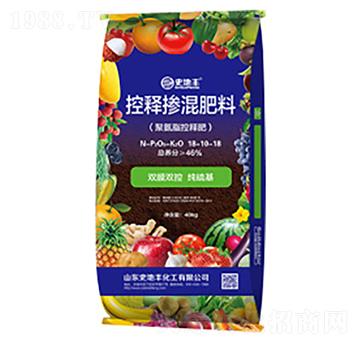 ��ጓ������-ʷ���S