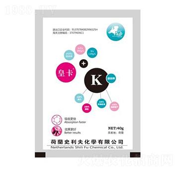 Һ�w�-ʷ����