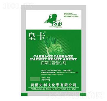 �ײ˸��{���Ą�-�ʿ�-ʷ����