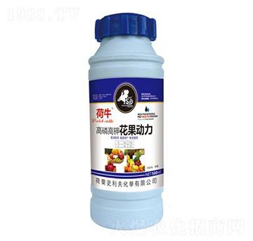 ���׸�⛻�������-��ţ-ʷ����