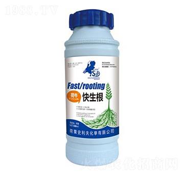 ��ţ������-ʷ����