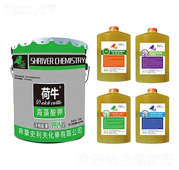 ��������ĺ�һ�ײͷ�-��ţ-ʷ����