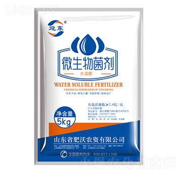 5kg΢�������-ӭ�|-�����r�Y