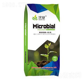 2�|΢�������-�h��-�՘�����