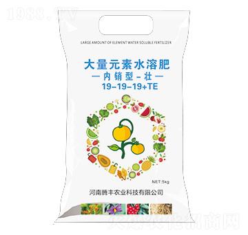 ��(n��i)�N(xi��o)�ʹ���Ԫ��ˮ�ܷ���19-19-19+TE-��-�v�S�r(n��ng)�I(y��)