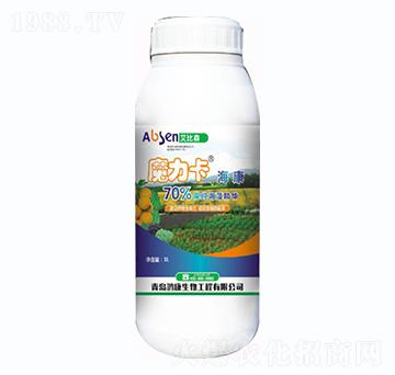 ħ��������-����ɭ-��������