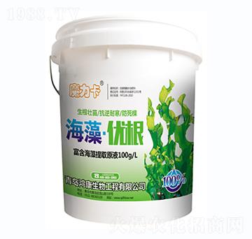 ���塤��(y��u)��-��������