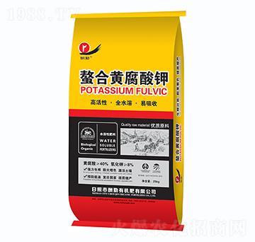 �����S�����-����