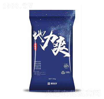 ����ˬ�w����-��¹����