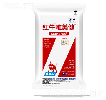 �tţΨ����-���·���