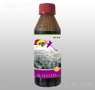 �ջ��������-һ����-ِ�����