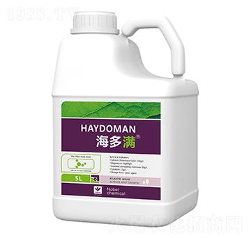 5L�����M�}�V�̼���-������