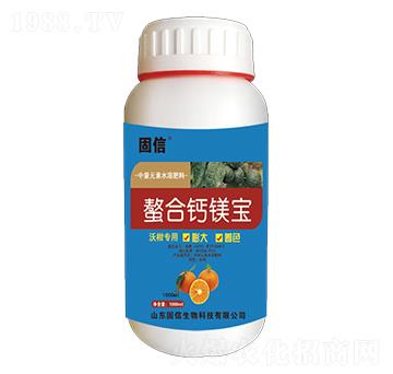 �����}�V��-��������