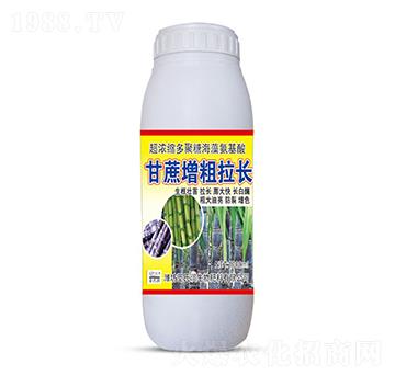 �����������L-ʥ�ϝ�