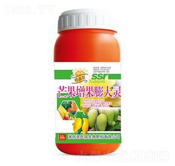 â����������`-ʥ�ϝ�