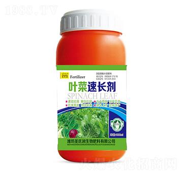 �~�����L��-ʥ�ϝ�