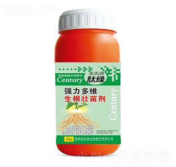 ������S�������焩-ʥ�ϝ�