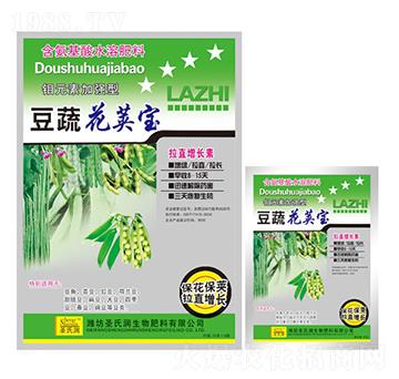 ���߻��v��-ʥ�ϝ�