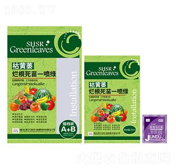 ���Sή��������һ���G-ʥ�ϝ�