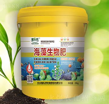 ���������-������