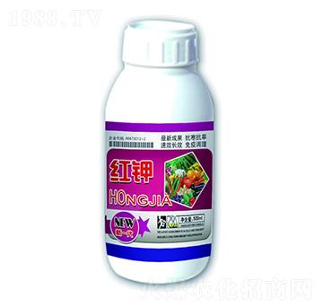 �t�-����ʘI(y��)