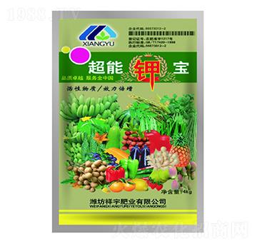 ����⛌�-����ʘI(y��)