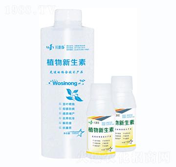 ֲ��������-�ַ�z