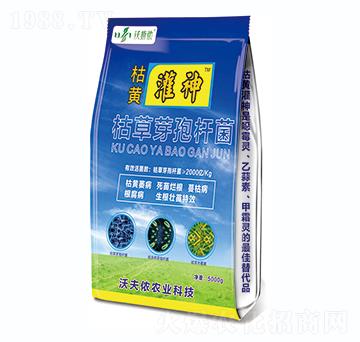 �ݲ�ѿ�ߗU��-���S����-�ַ�z