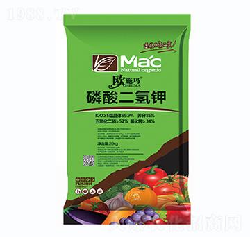 �������⛣��G��-һ������