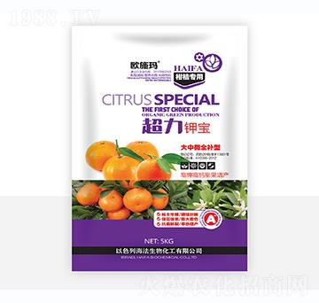 ����⛌�-һ������(l��i)