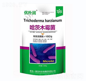 ����ľù��-��(y��u)�㝙-һ������