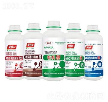 �����������Ϸ�ϵ��-� ��S