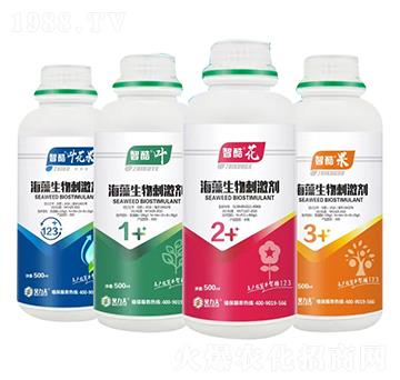 ��������̼���-�ǿ��~����-ؐ����-� ��S