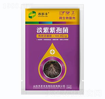 �������߾�-�̶��S