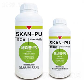 ʩ����-�}�������}��-δ�����W(xu��)