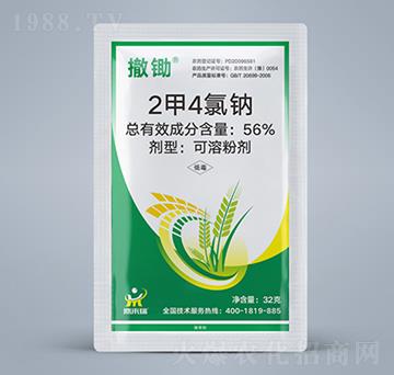 56%2��4���c-���z-������