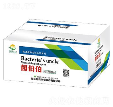 ΢�������-���������У�-��������