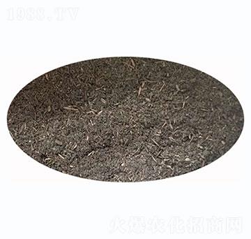 �嶼�۶����ЙC��-ʢ혈@