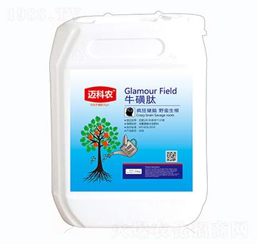 ������-�~���r(n��ng)-�Έ�����