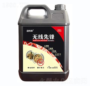 �o�����h-�~���r(n��ng)-�Έ�����