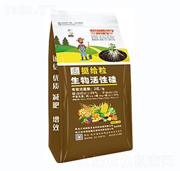 生物菌肥通用型-挺給粒生物活性硅-碩磊農(nóng)業(yè)