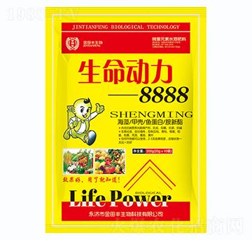 ������(d��ng)��8888-�����S