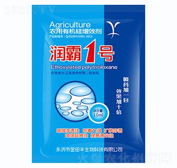 ����1̖-�����S