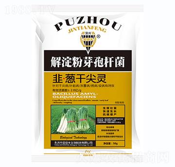 ���[�ɼ��`-�����S