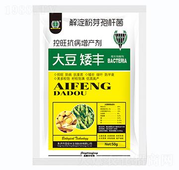 �󶹰��S-�����S