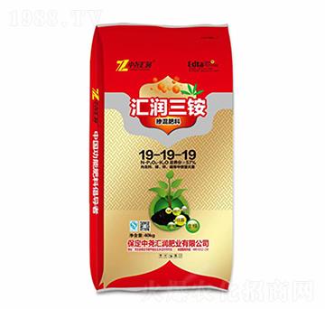 �R�����@�������19-19-19-�Ј�R��