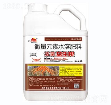 ���������-�����S